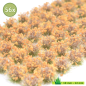 Preview: Herbst Gold