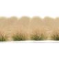 Preview: Desert Grass - Big Tufts