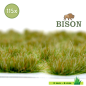 Preview: Bison Gras Spätsommer 115 Stück