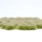 Preview: Grizzly Grass No.11 XL
