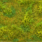Preview: WILDGRAS NR.2  (110x195mm)