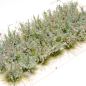 Preview: Kornblumen