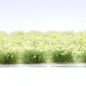 Preview: Grasbüschel 10 mm - Zitronenlicht - für Diorama -Modelleisenbahn - Tabletop Gelände – realistische Miniaturvegetatio