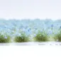 Preview: Grasbüschel 10 mm - Glockenklang - für Diorama -Modelleisenbahn - Tabletop Gelände – realistische Miniaturvegetation