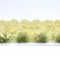 Preview: Grasbüschel 10 mm - Sommergelb - für Diorama -Modelleisenbahn - Tabletop Gelände – realistische Miniaturvegetation