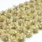 Preview: Grasbüschel 10 mm - Herbstleuchten - für Diorama -Modelleisenbahn - Tabletop Gelände – realistische Miniaturvegetation