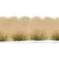 Preview: Hohe Wildgrasbüschel 12 mm – Wüstengras - natürliche hohe Vegetation für Diorama und Tabletop Landschaften