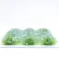 Preview: Klassische Grasbüschel 4–6 mm - Himmelblüte - realistische Standard-Vegetation für Modellbau und Tabletop Gelände