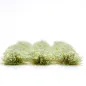 Preview: Klassische Grasbüschel 4–6 mm - Koniferenhain - realistische Standard-Vegetation für Modellbau und Tabletop Gelände