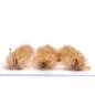 Preview: Klassische Grasbüschel 4–6 mm - Herbstgold - realistische Standard-Vegetation für Modellbau und Tabletop Gelände