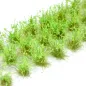 Preview: Hohe Wildgrasbüschel 12 mm – Grüner Tee - natürliche hohe Vegetation für Diorama und Tabletop Landschaften