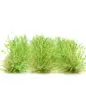 Preview: Hohe Wildgrasbüschel 12 mm – Grüner Tee - natürliche hohe Vegetation für Diorama und Tabletop Landschaften
