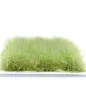 Preview: Hohe Wildgrasbüschel 12 mm – Sommerfrisch - natürliche hohe Vegetation für Diorama und Tabletop Landschaften