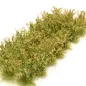 Preview: Hohe Wildgrasbüschel 12 mm – Wildkraut - natürliche hohe Vegetation für Diorama und Tabletop Landschaften