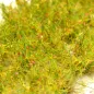 Preview: Hohe Wildgrasbüschel 12 mm – Sommerwildnis - natürliche hohe Vegetation für Diorama und Tabletop Landschaften