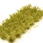 Preview: Hohe Wildgrasbüschel 12 mm – Sommerwildnis - natürliche hohe Vegetation für Diorama und Tabletop Landschaften