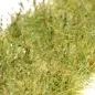 Preview: Hohe Wildgrasbüschel 12 mm – Buschgras - natürliche hohe Vegetation für Diorama und Tabletop Landschaften