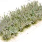 Preview: Hohe Wildgrasbüschel 12 mm – Kornblumenfeld - natürliche hohe Vegetation für Diorama und Tabletop Landschaften