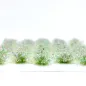 Preview: Feine Grasbüschel 2–4 mm - Kornblumenfeld - niedrige Miniatur Vegetation für Diorama, Tabletop und Modelleisenbahn