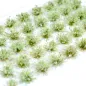 Preview: Feine Grasbüschel 2–4 mm - Koniferenhain - niedrige Miniatur Vegetation für Diorama, Tabletop und Modelleisenbahn