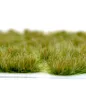 Preview: Klassische Grasbüschel 4–6 mm - Spätsommergras - realistische Standard-Vegetation für Modellbau und Tabletop Gelände