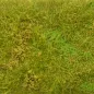 Preview: Busch- und Strauchgras ab 12 mm – Grasmatte - Wiesengrün - für realistische Diorama- und Modellbau-Szenen