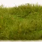 Preview: Busch- und Strauchgras ab 12 mm – Grasmatte - Wiesengrün - für realistische Diorama- und Modellbau-Szenen