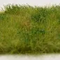 Preview: Busch- und Strauchgras ab 12 mm – Grasmatte - Wildland - für realistische Diorama- und Modellbau-Szenen