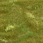 Preview: Busch- und Strauchgras ab 12 mm – Grasmatte - Sommerwiese - für realistische Diorama- und Modellbau-Szenen