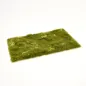 Preview: Busch- und Strauchgras ab 12 mm – Grasmatte - Sommerwiese - für realistische Diorama- und Modellbau-Szenen