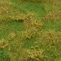 Preview: Busch- und Strauchgras ab 12 mm – Grasmatte - Erdgrund - für realistische Diorama- und Modellbau-Szenen