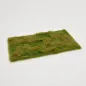 Preview: Busch- und Strauchgras ab 12 mm – Grasmatte - Erdgrund - für realistische Diorama- und Modellbau-Szenen