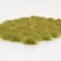 Preview: Grizzlygras 4–6 mm - Wildgrund - realistische Standard-Vegetation für Modellbau und Tabletop Gelände