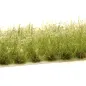 Preview: Busch- und Strauchgras ab 12 mm – Buschgras - Feldweg - für realistische Diorama- und Modellbau-Szenen