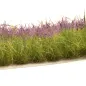 Preview: Busch- und Strauchgras ab 12 mm – Buschgras - Wildviolett - für realistische Diorama- und Modellbau-Szenen