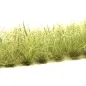 Preview: Busch- und Strauchgras ab 12 mm – Buschgras - Dünengras - für realistische Diorama- und Modellbau-Szenen