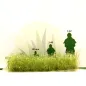 Preview: Busch- und Strauchgras ab 12 mm – Buschgras - Dünengras - für realistische Diorama- und Modellbau-Szenen