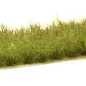 Preview: Busch- und Strauchgras ab 12 mm – Buschgras - Waldgrün - für realistische Diorama- und Modellbau-Szenen