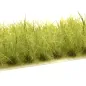Preview: Busch- und Strauchgras ab 12 mm – Buschgras - Lichtgrün - für realistische Diorama- und Modellbau-Szenen