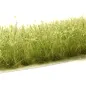 Preview: Busch- und Strauchgras ab 12 mm – Buschgras - Freiland - für realistische Diorama- und Modellbau-Szenen