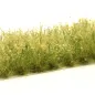 Preview: Busch- und Strauchgras ab 12 mm – Buschgras - Blütengelb - für realistische Diorama- und Modellbau-Szenen