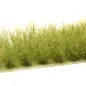 Preview: Busch- und Strauchgras ab 12 mm – Buschgras - Naturgrün - für realistische Diorama- und Modellbau-Szenen