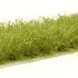 Preview: Busch- und Strauchgras ab 12 mm – Buschgras - Sattgrün - für realistische Diorama- und Modellbau-Szenen