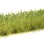 Preview: Busch- und Strauchgras ab 12 mm – Buschgras - Tiefgrün - für realistische Diorama- und Modellbau-Szenen