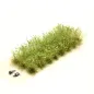 Preview: Busch- und Strauchgras ab 12 mm – Buschgras - Wiesengrün - für realistische Diorama- und Modellbau-Szenen