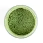 Preview: Pigmentpulver für Modellbau – Oxidgrün - realistische Alterungseffekte für Diorama, Tabletop und Miniaturen