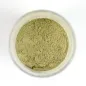 Preview: Pigmentpulver für Modellbau – Grüne Erde - realistische Alterungseffekte für Diorama, Tabletop und Miniaturen
