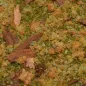 Preview: Bodengestaltung Materialien – Waldbodenflock - realistischer Untergrund für Diorama, Tabletop und Modelleisenbahn