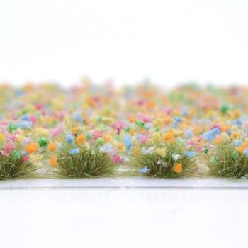 Sommerblumen