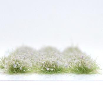 Lavendel